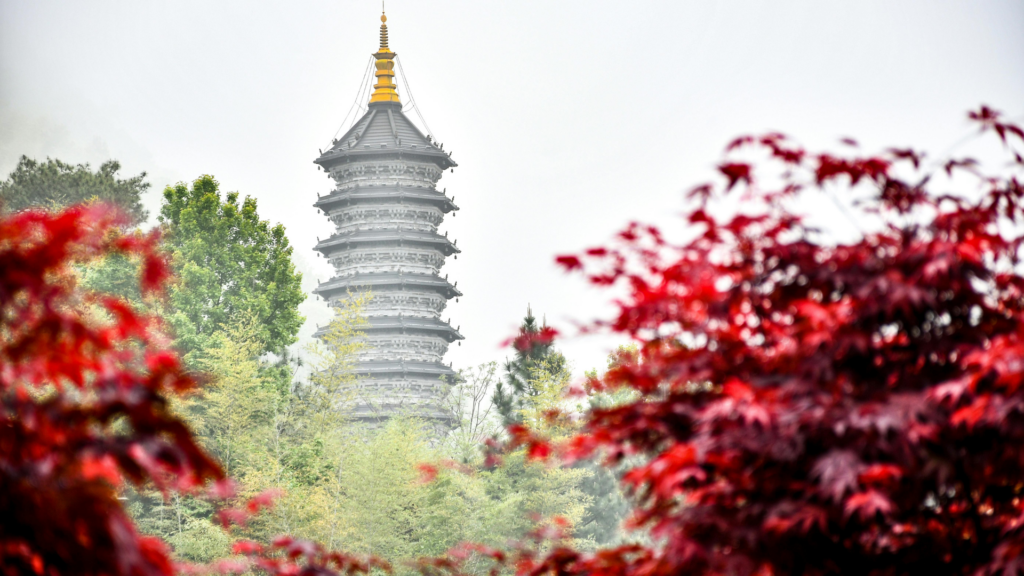 Living in Hangzhou as an Expat: A Comprehensive Guide